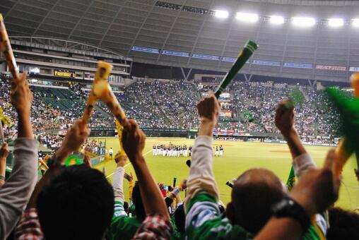 スポーツ観戦・参加ツアー